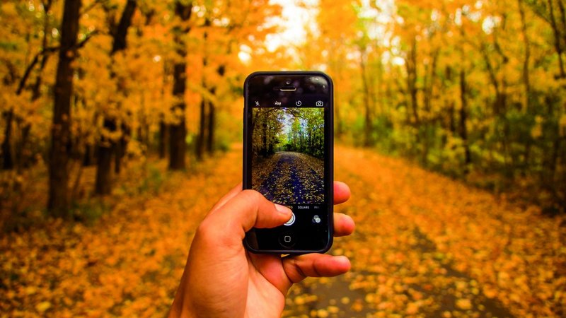 Blick auf Smartphone in Hand im Wald